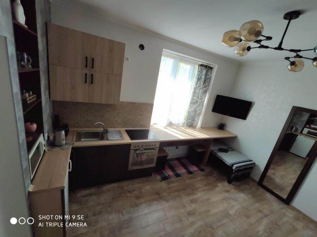 Однокімнатна Квартира-Студія Біля Парку Шевченка Ivano-Frankivsk Ngoại thất bức ảnh